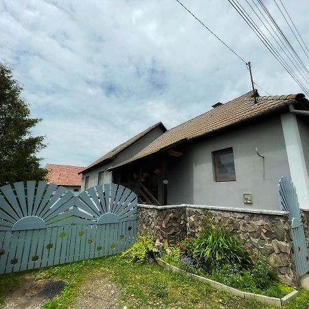 Casa De Oaspeti Cristina Fitod エクステリア 写真