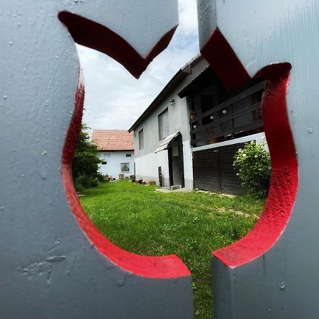 Casa De Oaspeti Cristina Fitod エクステリア 写真