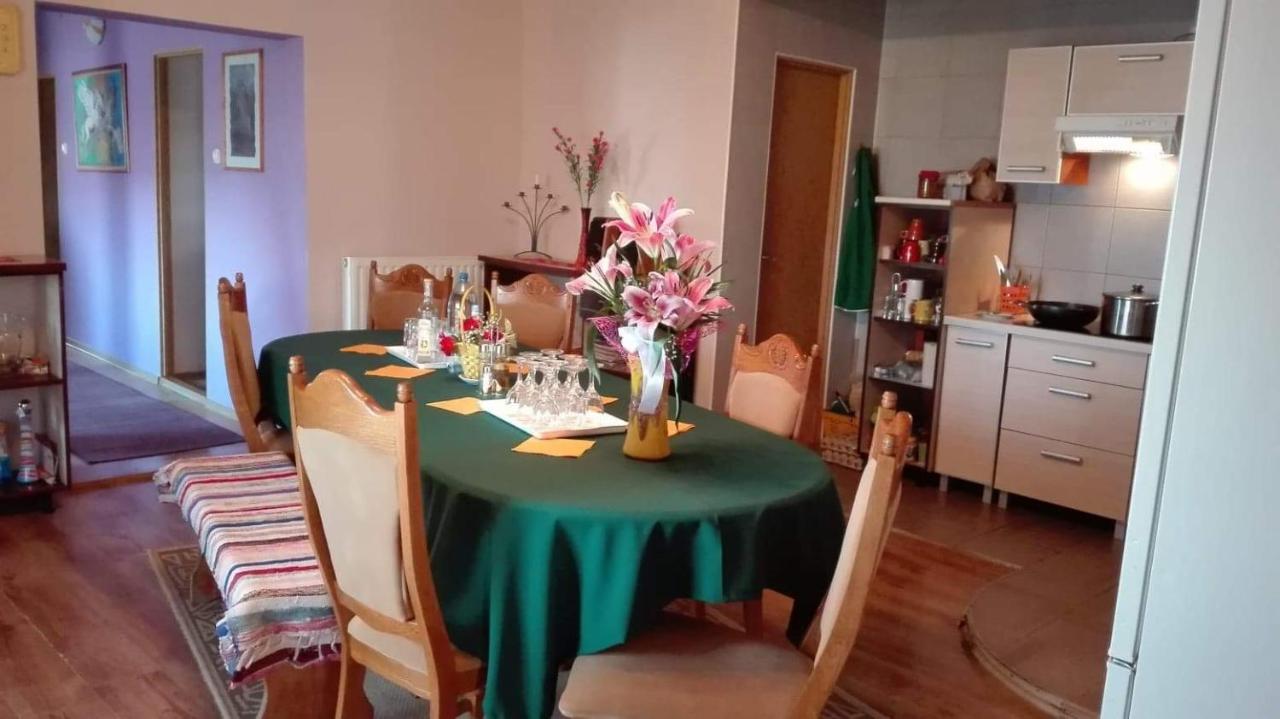 Casa De Oaspeti Cristina Fitod エクステリア 写真
