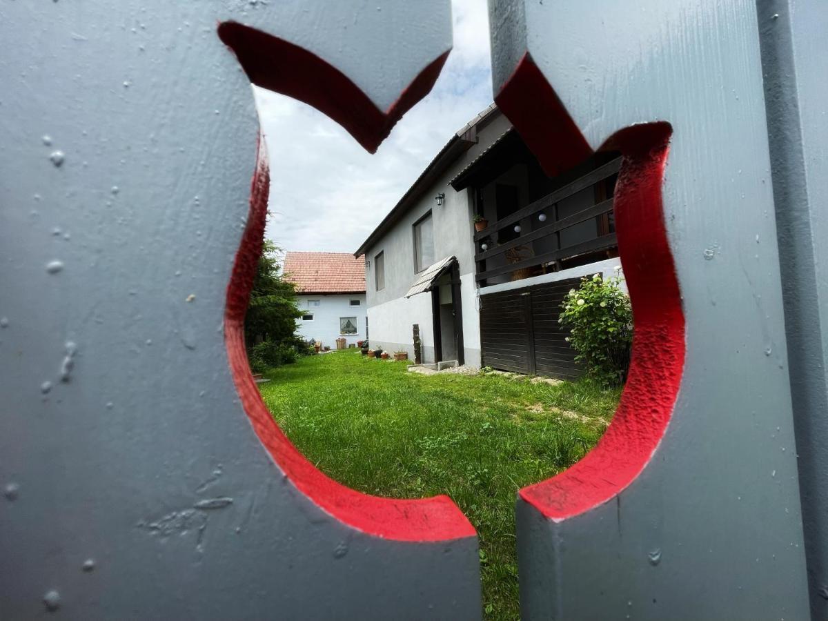 Casa De Oaspeti Cristina Fitod エクステリア 写真