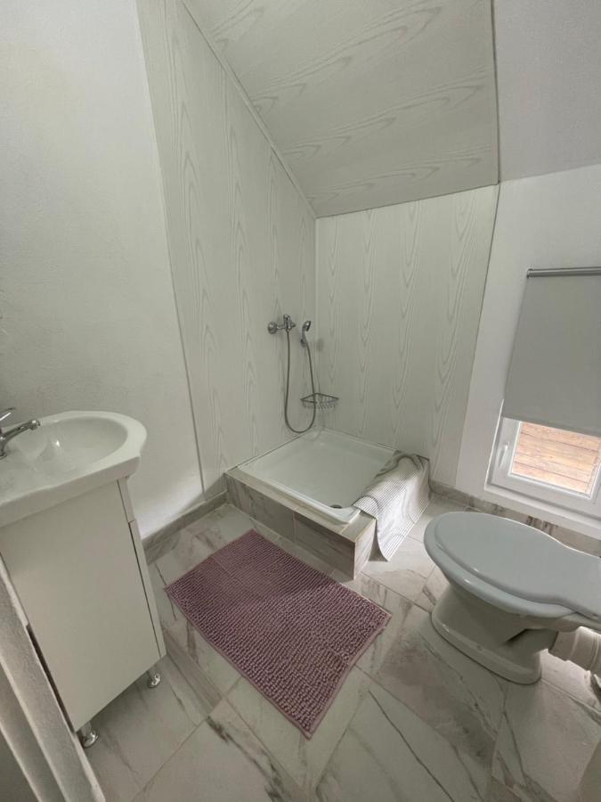 Casa De Oaspeti Cristina Fitod エクステリア 写真