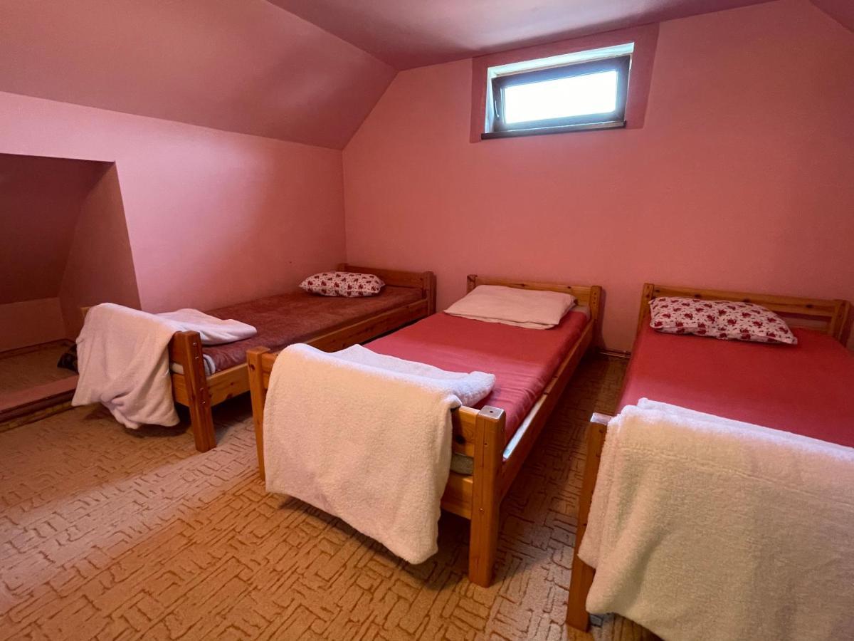 Casa De Oaspeti Cristina Fitod エクステリア 写真