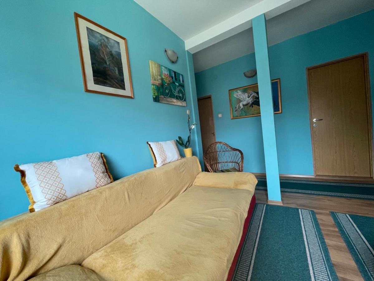 Casa De Oaspeti Cristina Fitod エクステリア 写真