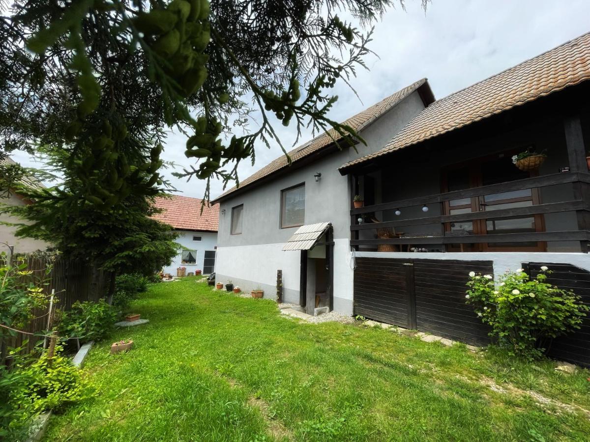 Casa De Oaspeti Cristina Fitod エクステリア 写真
