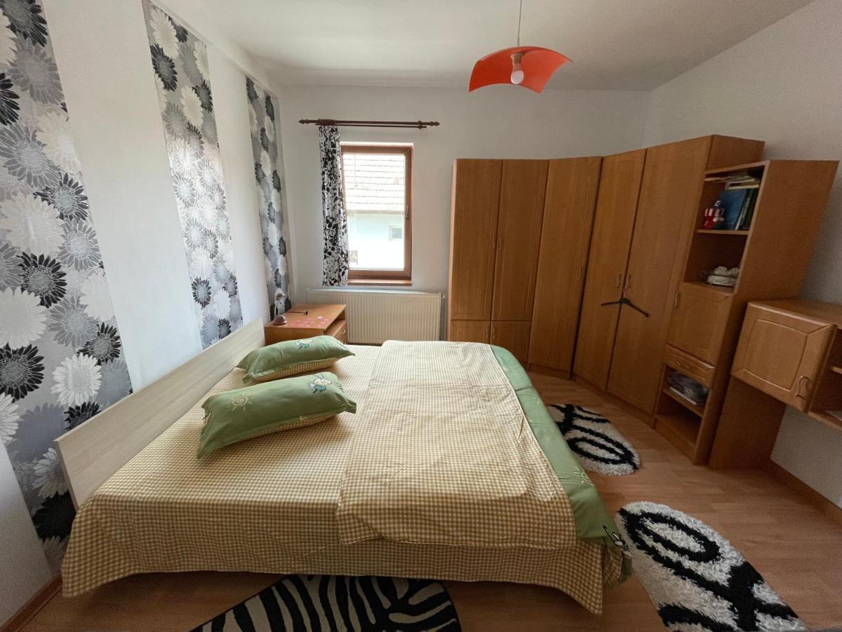 Casa De Oaspeti Cristina Fitod エクステリア 写真