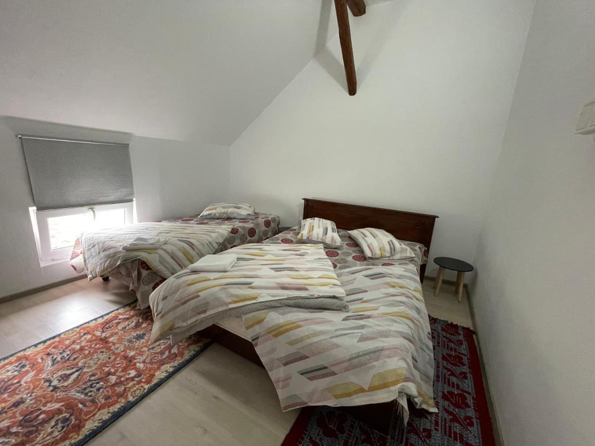 Casa De Oaspeti Cristina Fitod エクステリア 写真