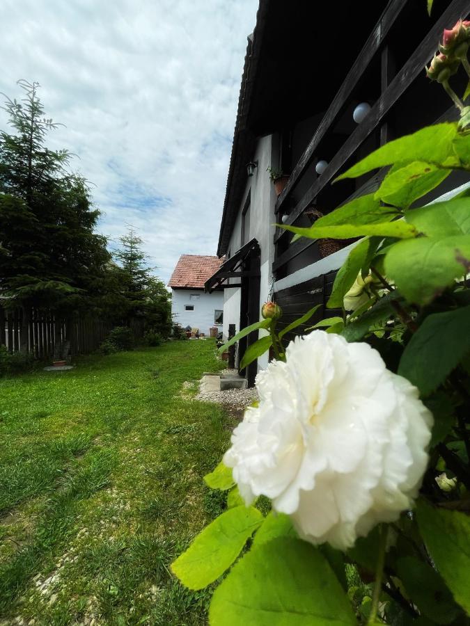Casa De Oaspeti Cristina Fitod エクステリア 写真