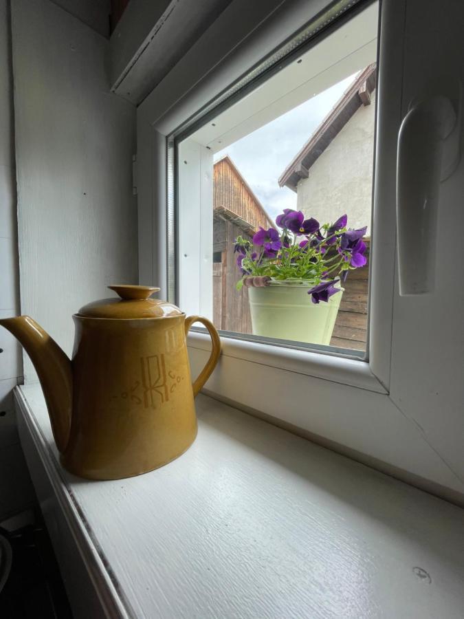 Casa De Oaspeti Cristina Fitod エクステリア 写真