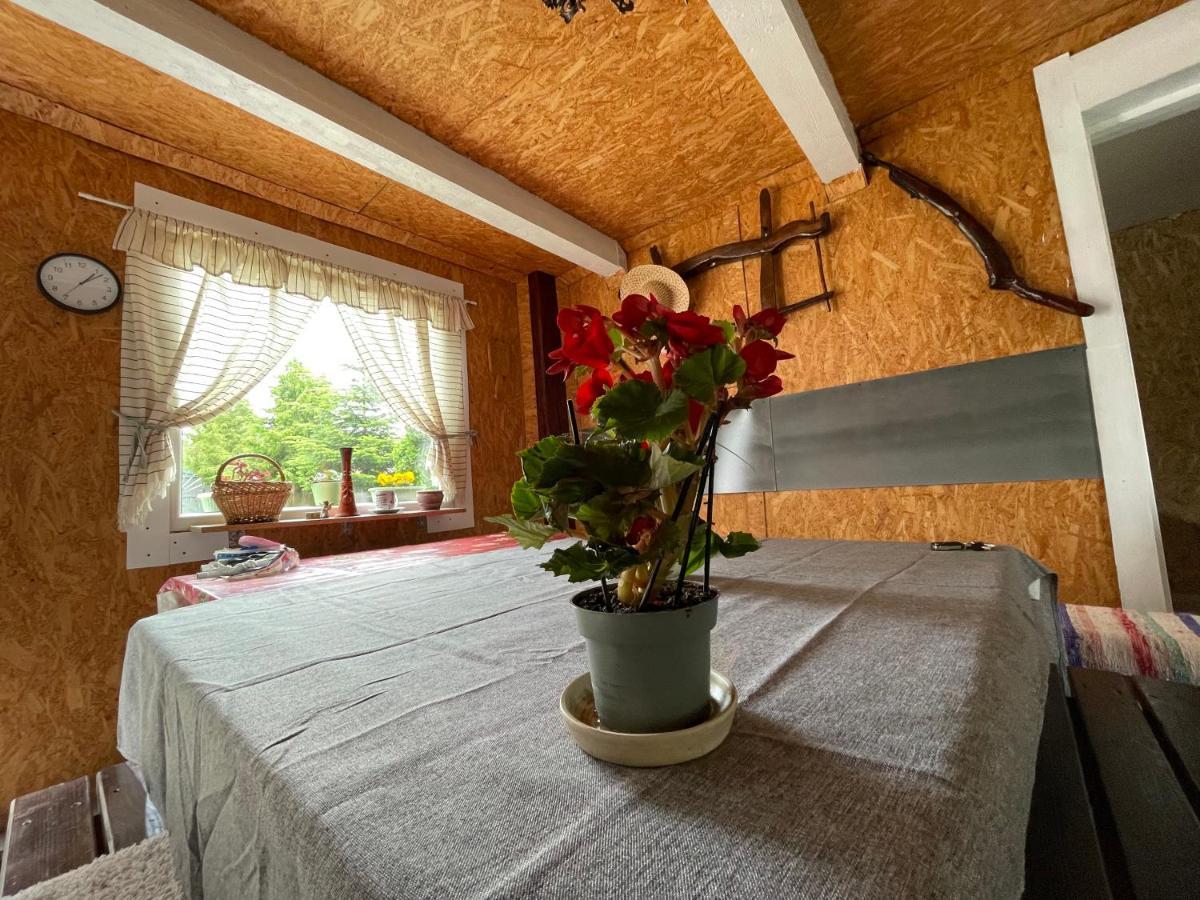 Casa De Oaspeti Cristina Fitod エクステリア 写真