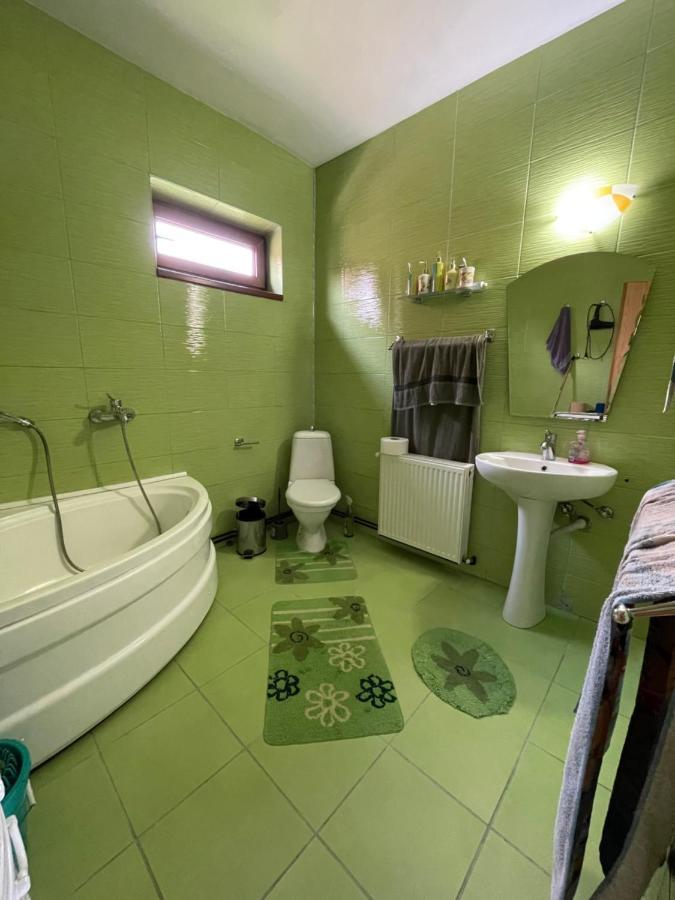 Casa De Oaspeti Cristina Fitod エクステリア 写真